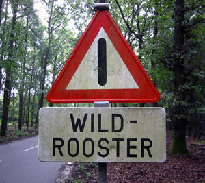 Wild-Rooster.jpg