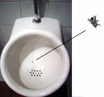 fly-urinal.png