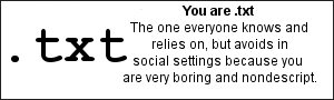 You are .txt The one everybody knows and relies on, but avoids in social settings because you're very boring and non-descript.